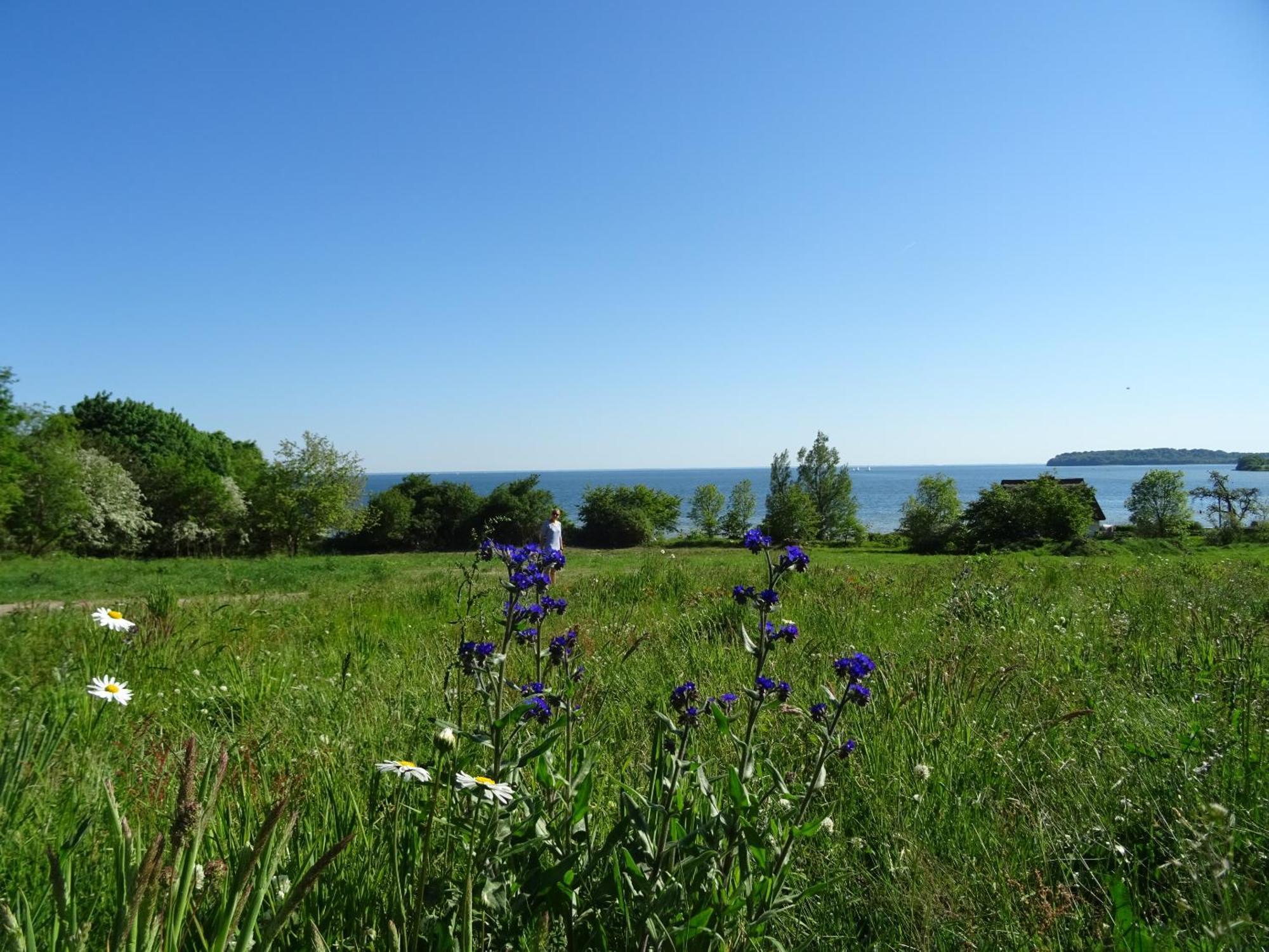 Appartement Werft & Meer Lauterbach  Esterno foto