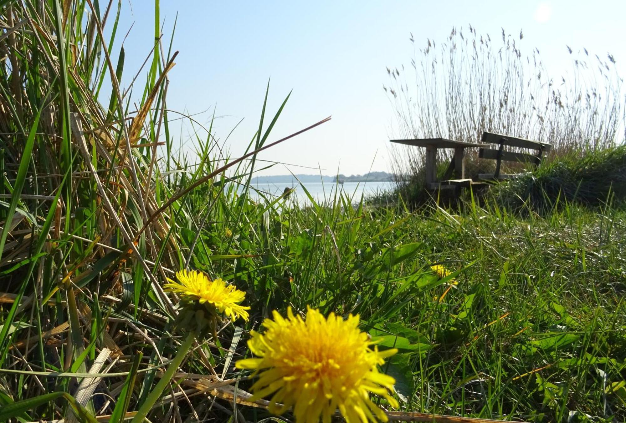 Appartement Werft & Meer Lauterbach  Esterno foto